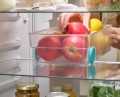 Joseph Joseph Pojemnik/organizer L do lodówki FridgeStore