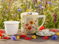 Carmani Kubek z zaparzaczem i przykrywką — L. Lozano, Herbal Harmony